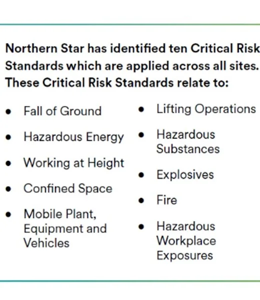 Critical Risk Standards